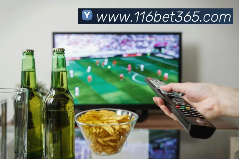 bet365中国官网APP 封面图